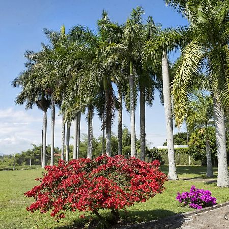 El Lugar Boutique Hotel Cerritos 外观 照片