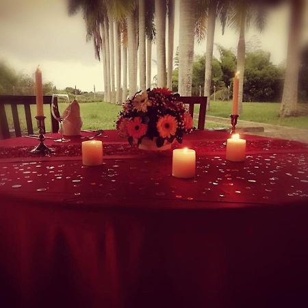 El Lugar Boutique Hotel Cerritos 外观 照片